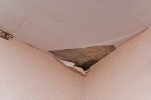 mold on the ceiling. due to the dampness, mold formed and the wallpaper peeled off